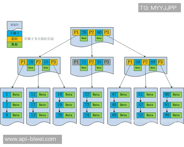深入解析足球战术板中的RPO战术应用与实战策略探讨