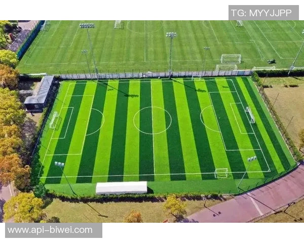 足球场与橄榄球场的魅力对比与运动文化的深度探讨